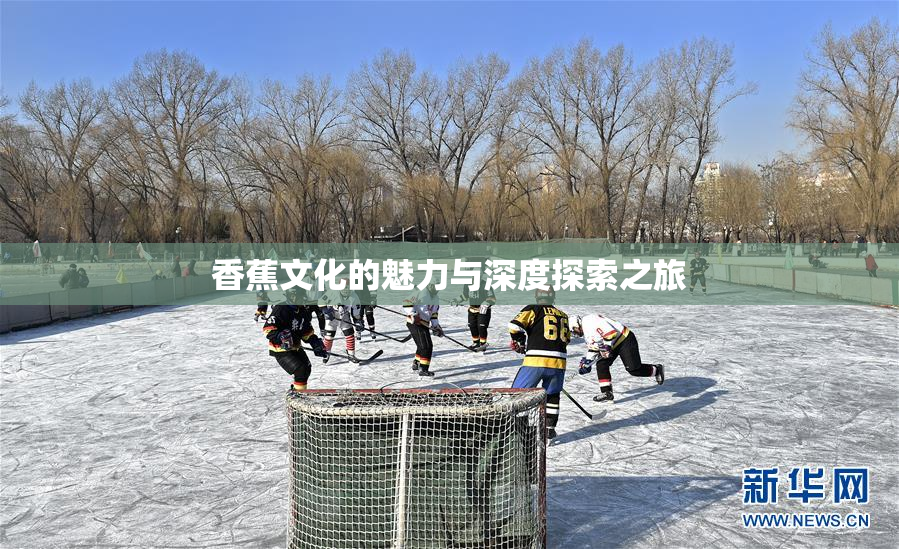 香蕉文化的魅力与深度探索之旅