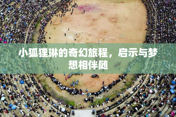 小狐狸琳的奇幻旅程，启示与梦想相伴随