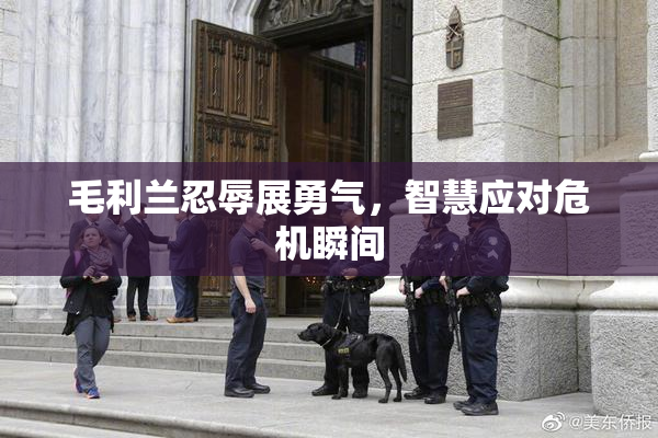 毛利兰忍辱展勇气，智慧应对危机瞬间