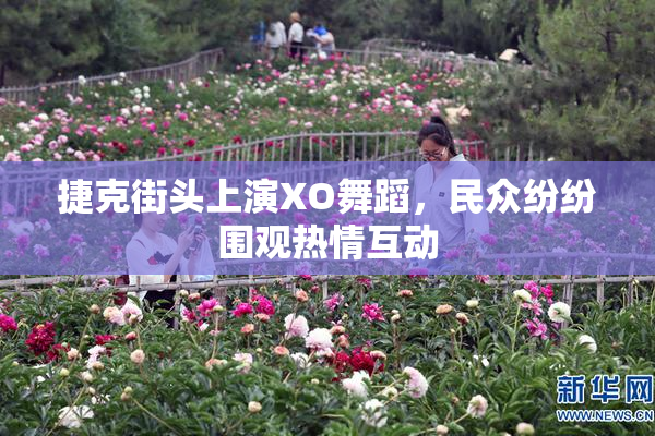 捷克街头上演XO舞蹈，民众纷纷围观热情互动