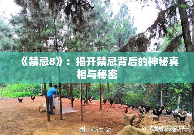 《禁忌8》：揭开禁忌背后的神秘真相与秘密