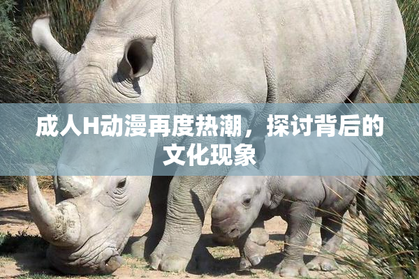 成人H动漫再度热潮，探讨背后的文化现象