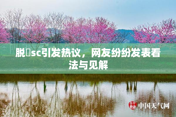 脱糞sc引发热议，网友纷纷发表看法与见解