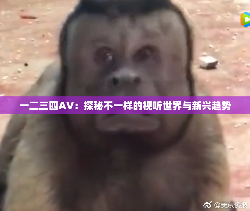 一二三四AV：探秘不一样的视听世界与新兴趋势