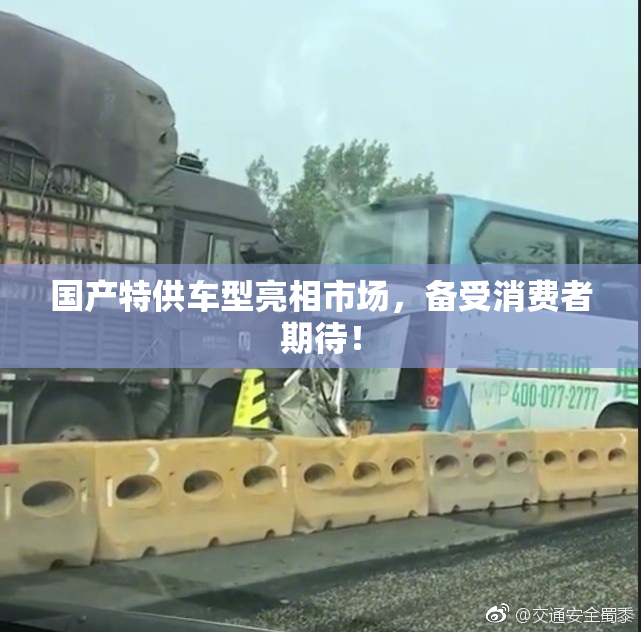 国产特供车型亮相市场，备受消费者期待！