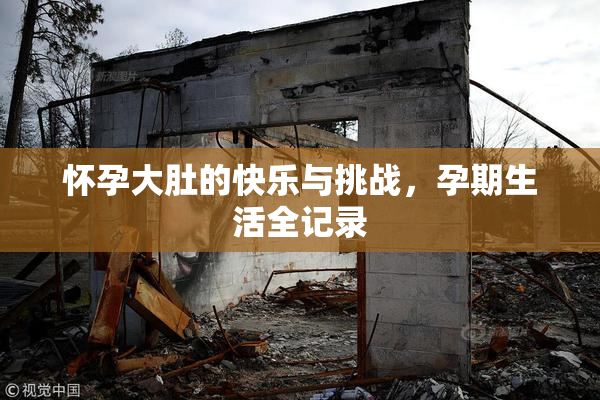 怀孕大肚的快乐与挑战，孕期生活全记录