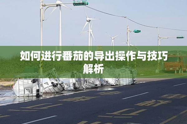 如何进行番茄的导出操作与技巧解析