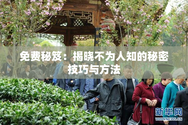 免费秘笈：揭晓不为人知的秘密技巧与方法