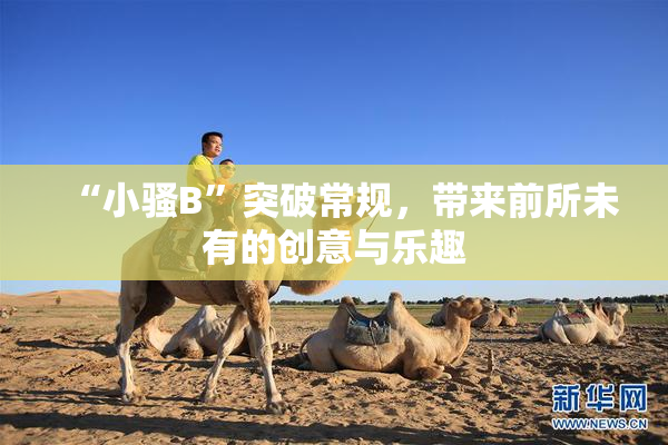 “小骚B”突破常规，带来前所未有的创意与乐趣