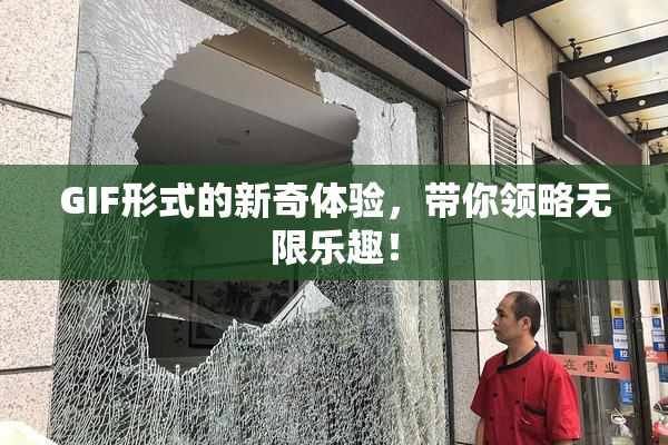 GIF形式的新奇体验，带你领略无限乐趣！
