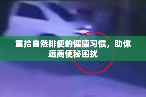 重拾自然排便的健康习惯，助你远离便秘困扰