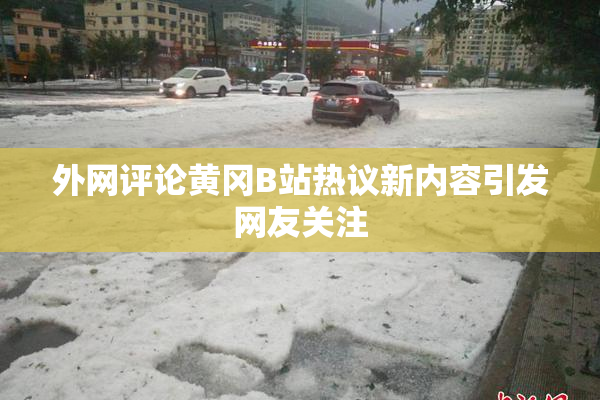 外网评论黄冈B站热议新内容引发网友关注