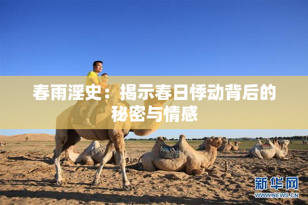 春雨淫史：揭示春日悸动背后的秘密与情感