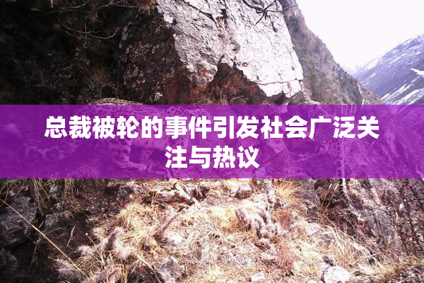 总裁被轮的事件引发社会广泛关注与热议