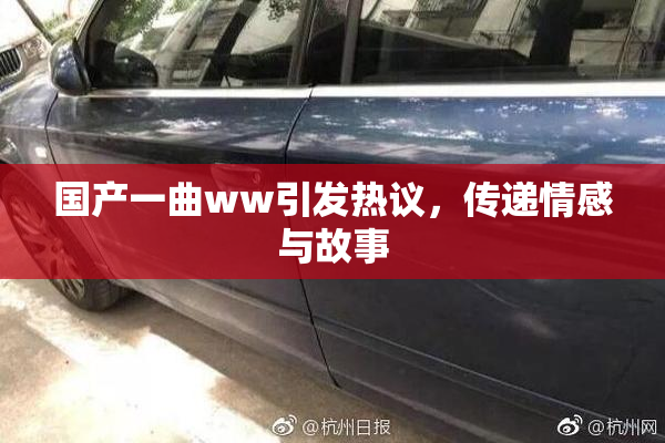 国产一曲ww引发热议，传递情感与故事