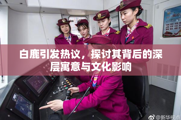 白鹿引发热议，探讨其背后的深层寓意与文化影响
