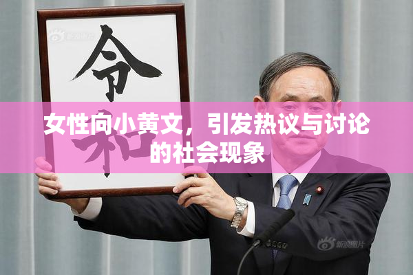 女性向小黄文，引发热议与讨论的社会现象