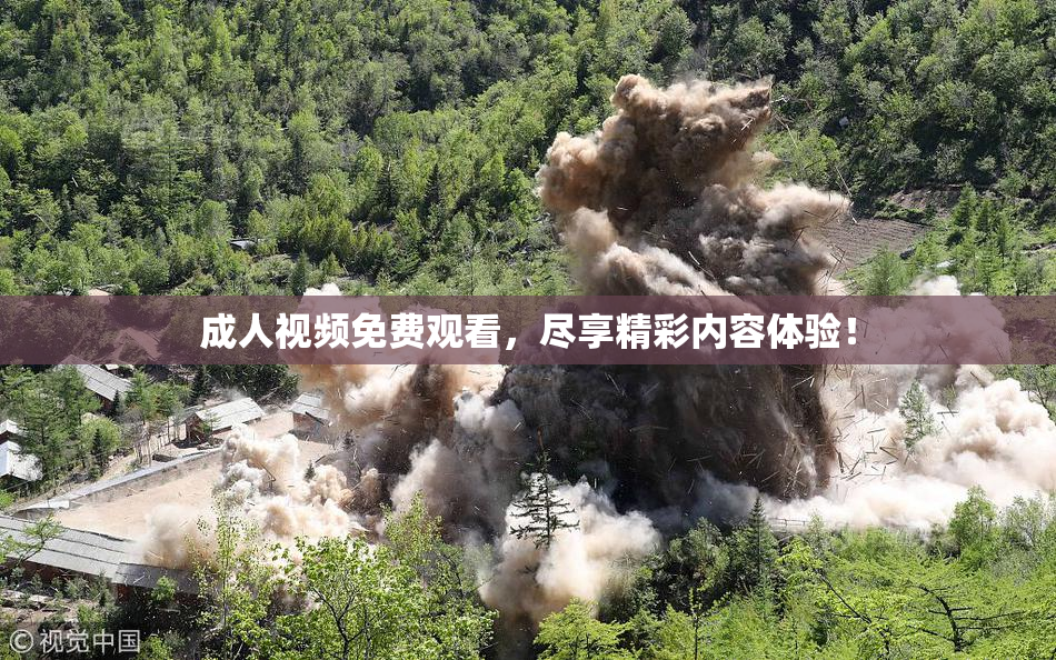 成人视频免费观看，尽享精彩内容体验！