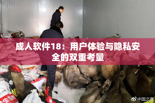成人软件18：用户体验与隐私安全的双重考量