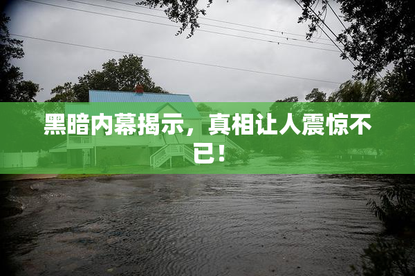 黑暗内幕揭示，真相让人震惊不已！