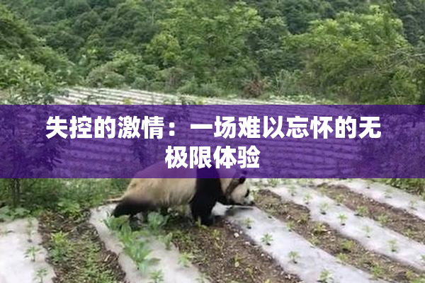 失控的激情：一场难以忘怀的无极限体验
