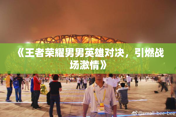 《王者荣耀男男英雄对决，引燃战场激情》