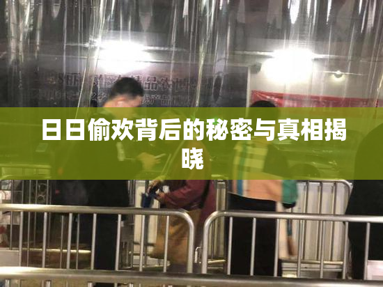 日日偷欢背后的秘密与真相揭晓