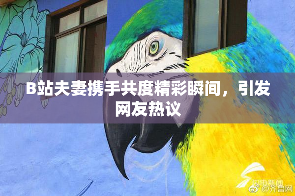 B站夫妻携手共度精彩瞬间，引发网友热议