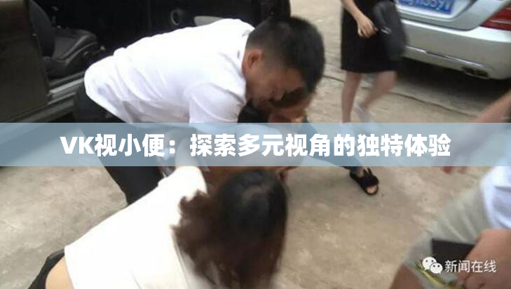 VK视小便：探索多元视角的独特体验