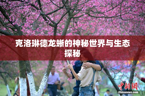 克洛琳德龙蜥的神秘世界与生态探秘