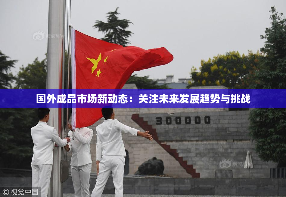 国外成品市场新动态：关注未来发展趋势与挑战