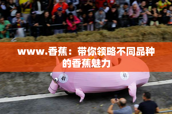www.香蕉：带你领略不同品种的香蕉魅力