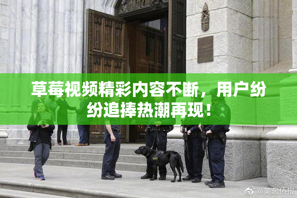 草莓视频精彩内容不断，用户纷纷追捧热潮再现！