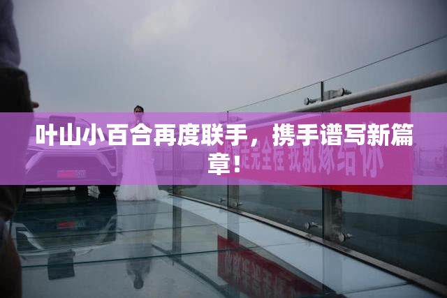 叶山小百合再度联手，携手谱写新篇章！