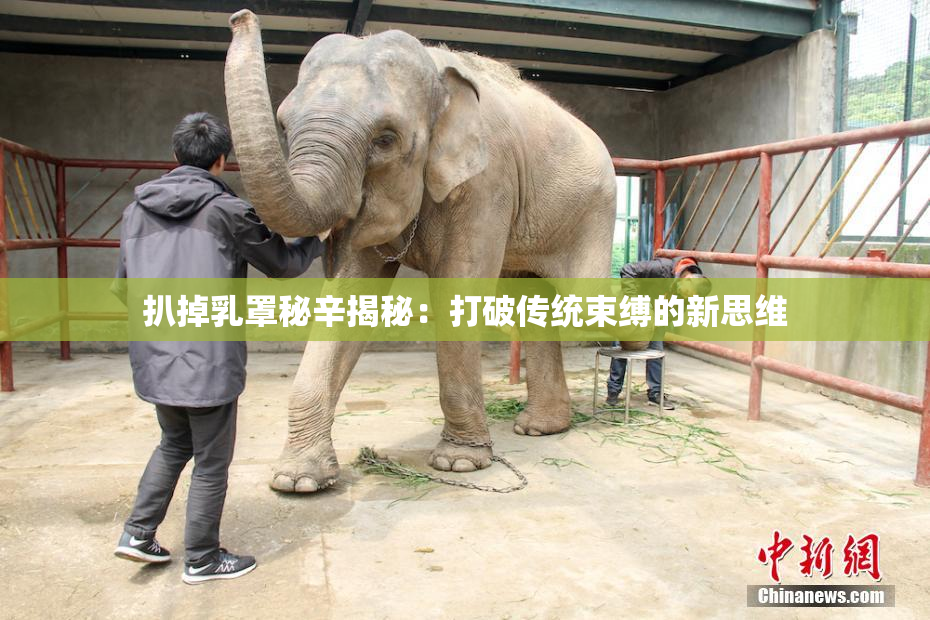 扒掉乳罩秘辛揭秘：打破传统束缚的新思维