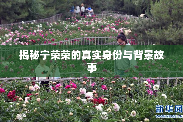 揭秘宁荣荣的真实身份与背景故事