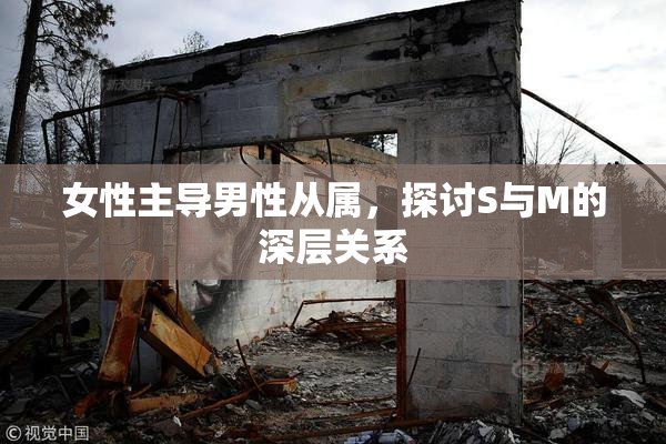 女性主导男性从属，探讨S与M的深层关系