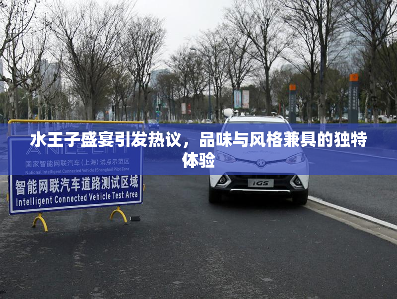 水王子盛宴引发热议，品味与风格兼具的独特体验