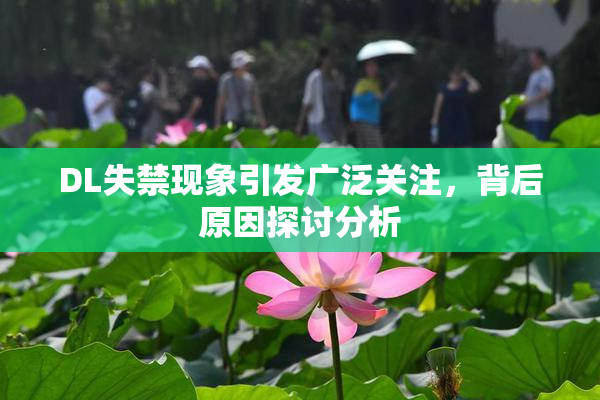 DL失禁现象引发广泛关注，背后原因探讨分析