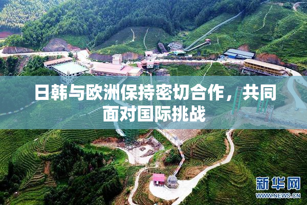 日韩与欧洲保持密切合作，共同面对国际挑战