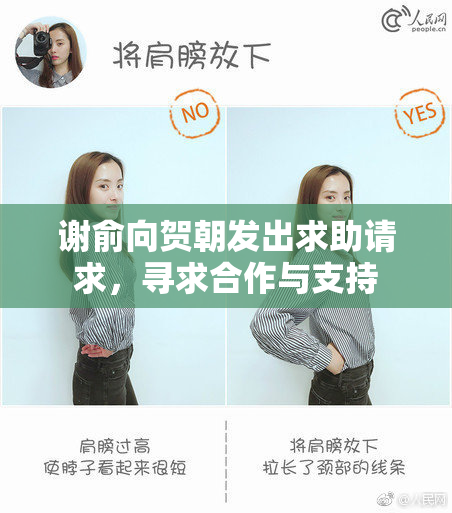 谢俞向贺朝发出求助请求，寻求合作与支持