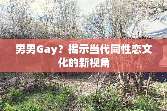 男男Gay？揭示当代同性恋文化的新视角