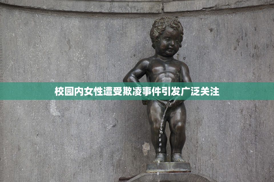 校园内女性遭受欺凌事件引发广泛关注