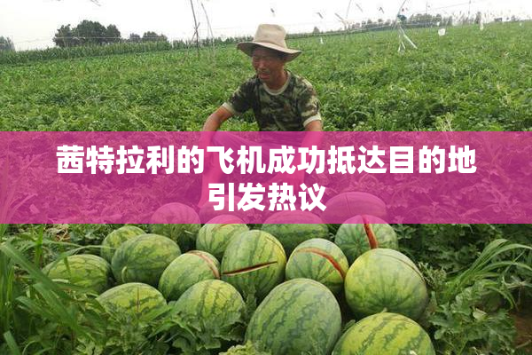茜特拉利的飞机成功抵达目的地引发热议