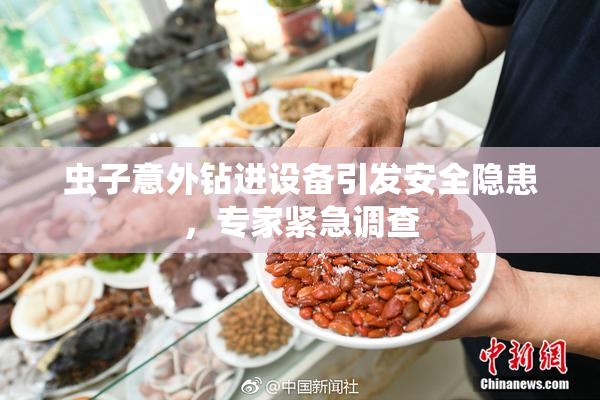虫子意外钻进设备引发安全隐患，专家紧急调查