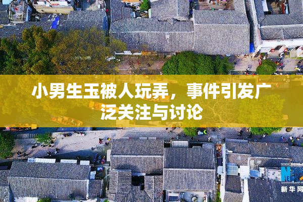 小男生玉被人玩弄，事件引发广泛关注与讨论