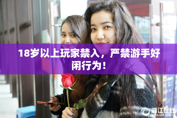 18岁以上玩家禁入，严禁游手好闲行为！