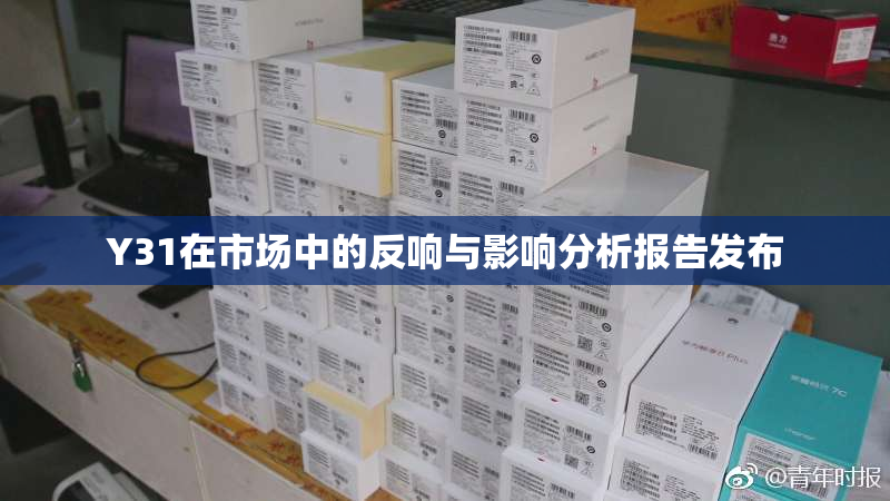 Y31在市场中的反响与影响分析报告发布