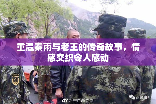 重温秦雨与老王的传奇故事，情感交织令人感动