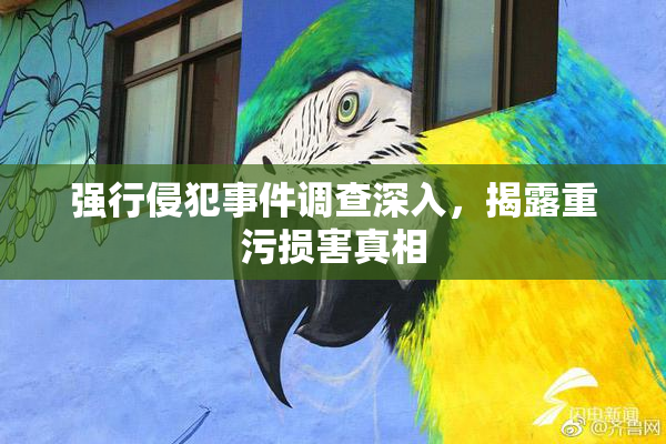 强行侵犯事件调查深入，揭露重污损害真相